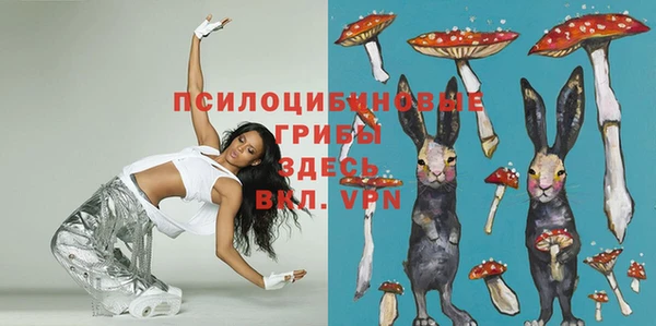 эйфоретик Киреевск